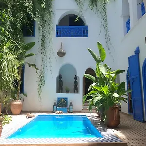 Chameleon Marrakesh